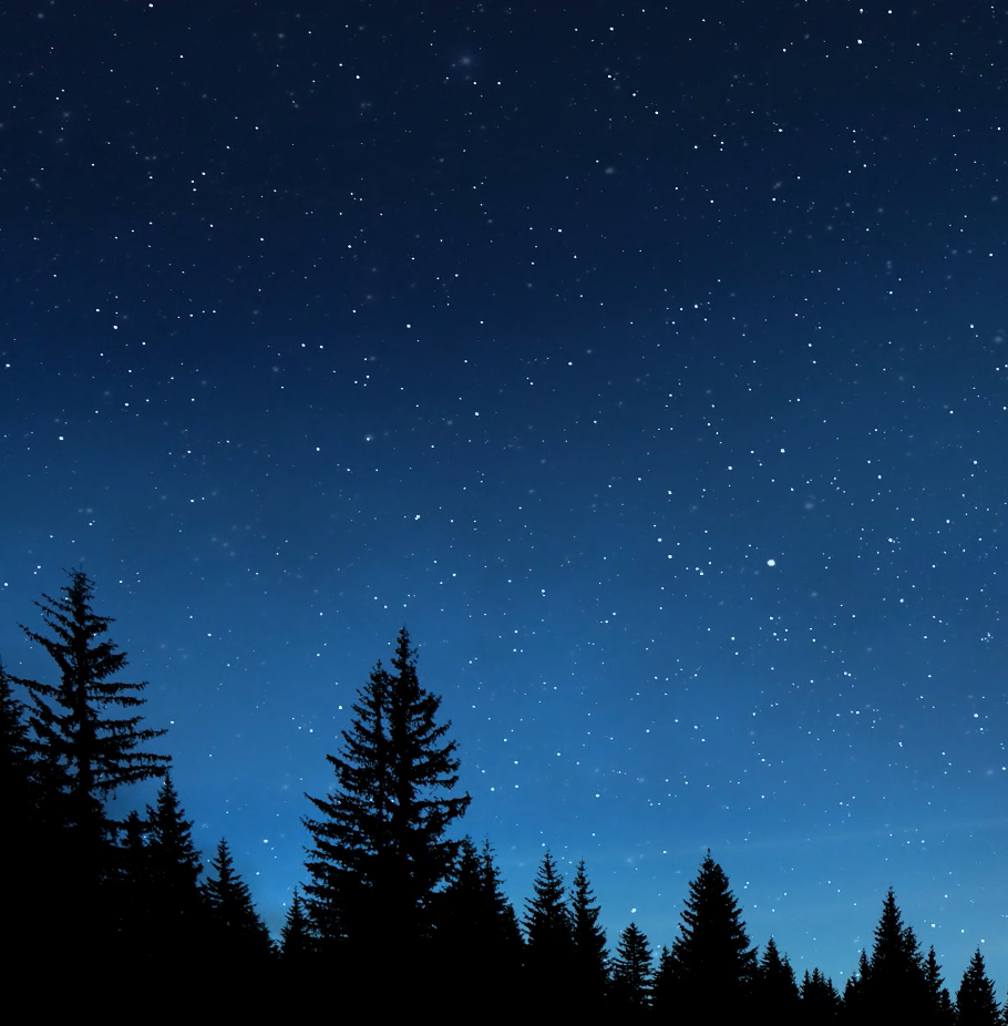 stars in the sky