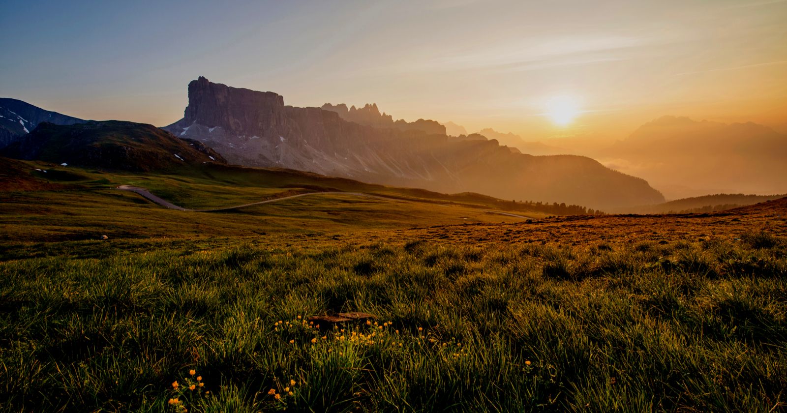 Brand Photography for Templeton Prize of field at dawn