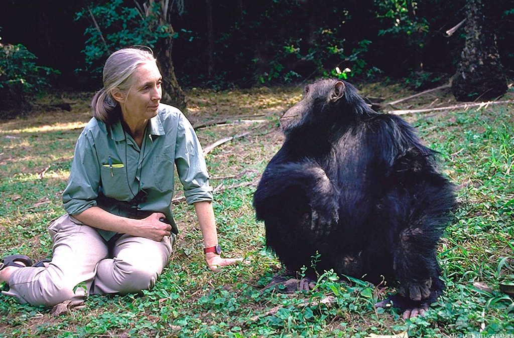 Celebrating a Life of Purpose: Dr. Jane Goodall, Winner of the 2021 ...