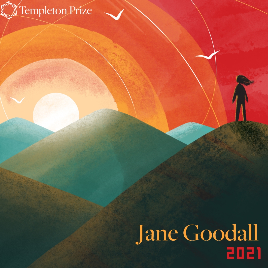 Jane Goodall wins 2021 Templeton Prize.